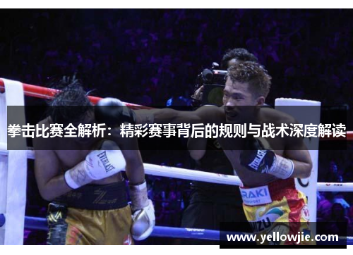 拳击比赛全解析：精彩赛事背后的规则与战术深度解读