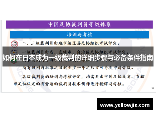 如何在日本成为一级裁判的详细步骤与必备条件指南
