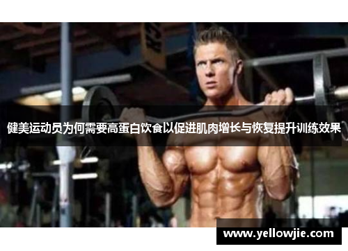 健美运动员为何需要高蛋白饮食以促进肌肉增长与恢复提升训练效果
